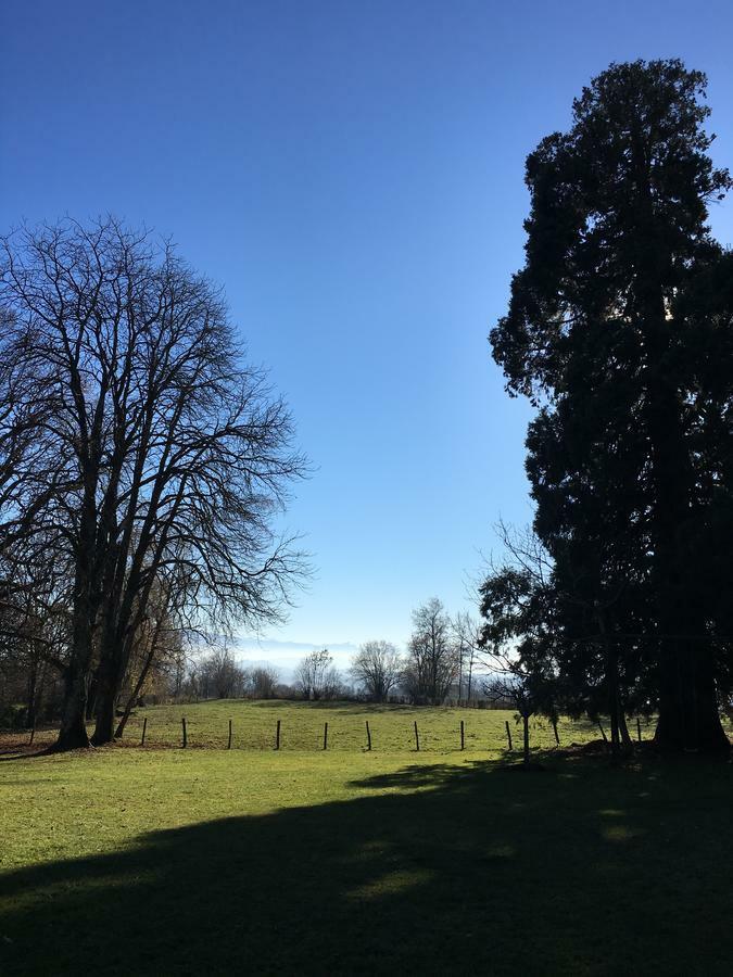 Domaine Du Valromey Bed & Breakfast Champagne-en-Valromey Bagian luar foto